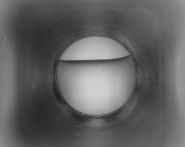 X0000102290210200807251008