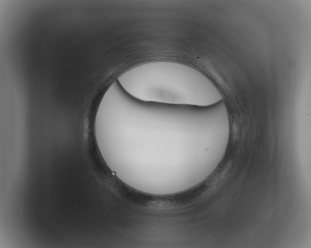 X0000102290211200807251008