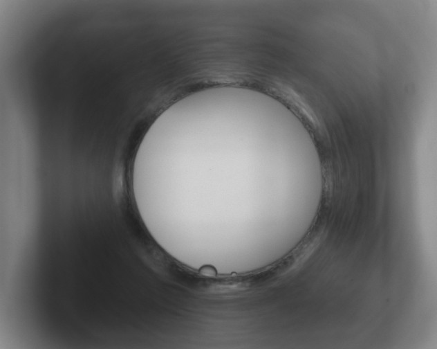 X0000102290213200807251008