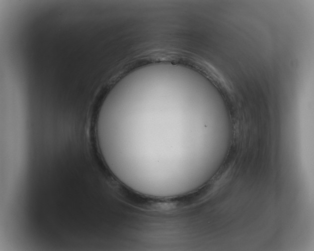 X0000102290217200807251007