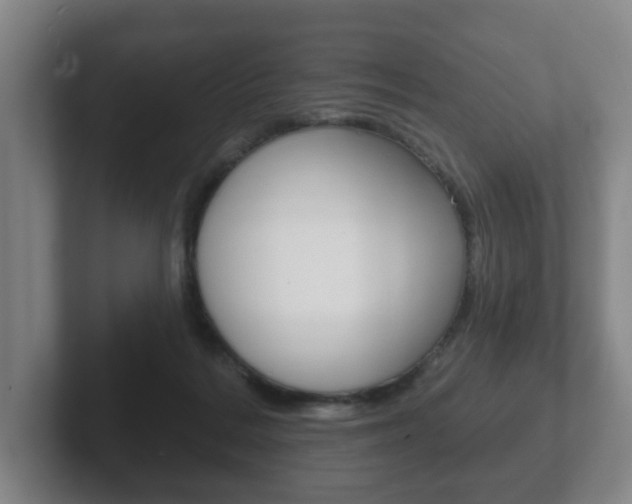 X0000102290220200807251007