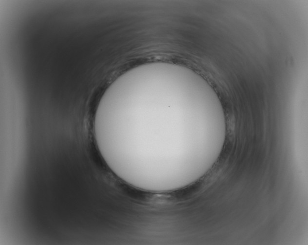 X0000102290222200807251007