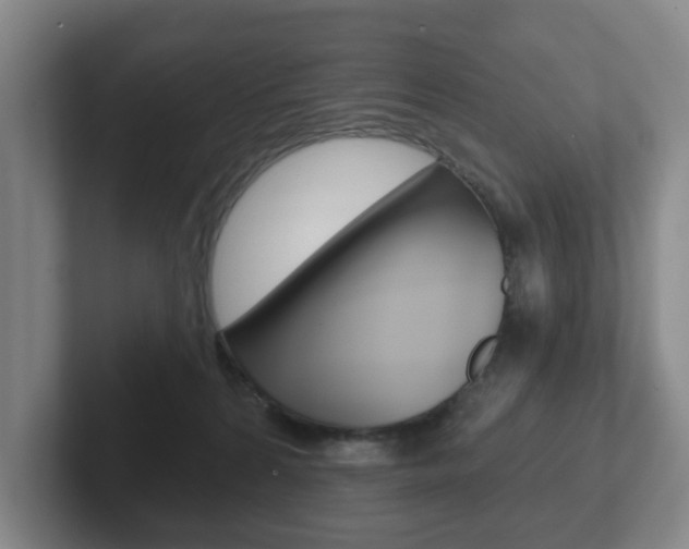 X0000102290224200807251007