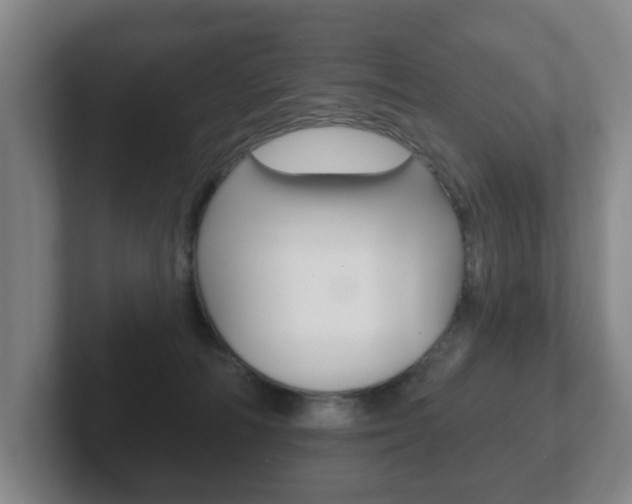 X0000102290226200807251007