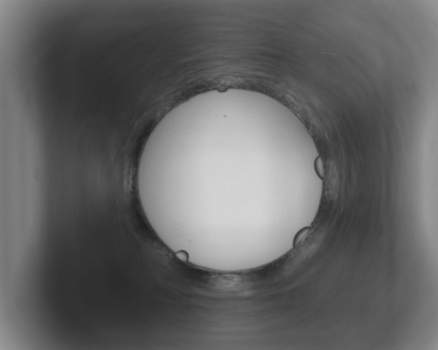 X0000102290230200807251007