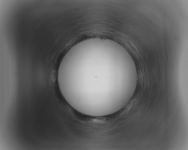 X0000102290232200807251007