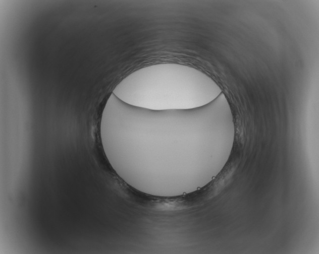 X0000102290235200807251007