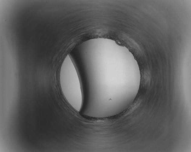 X0000102290236200807251007