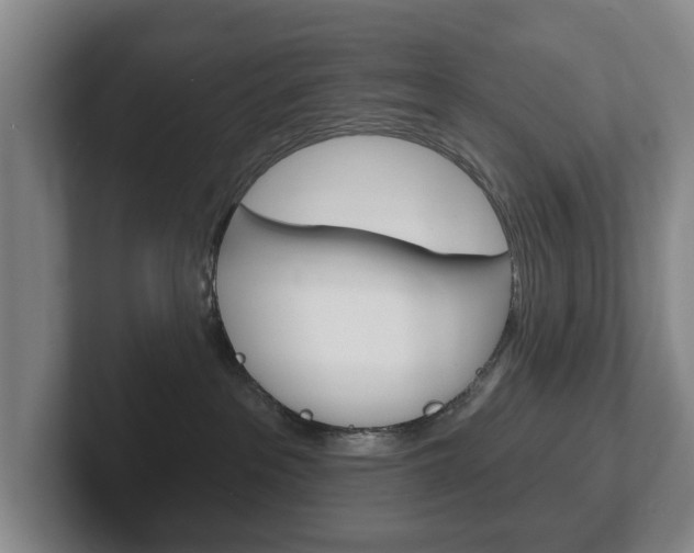 X0000102290237200807251007
