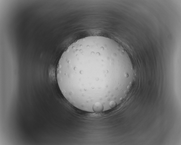 X0000102290238200807251007