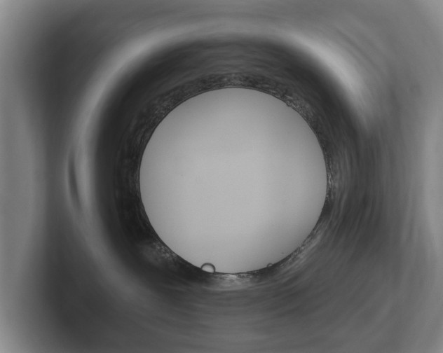 X0000102290239200807251007