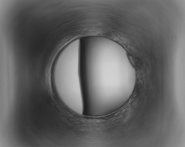 X0000102290242200807251007