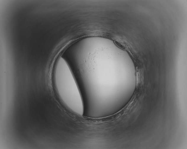 X0000102290243200807251007