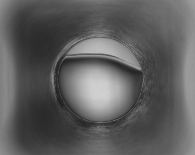 X0000102290244200807251007