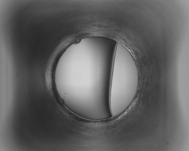 X0000102290245200807251007