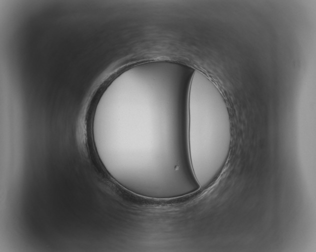 X0000102290246200807251007