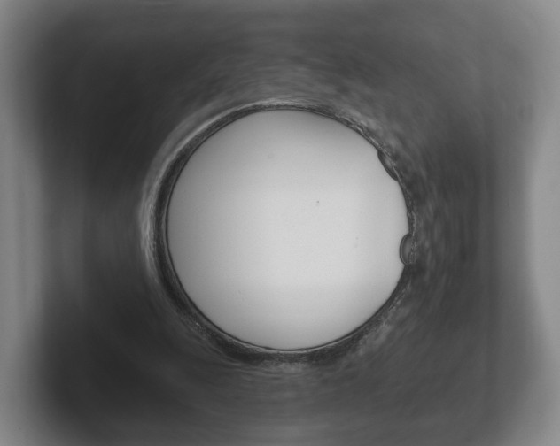 X0000102290247200807251007