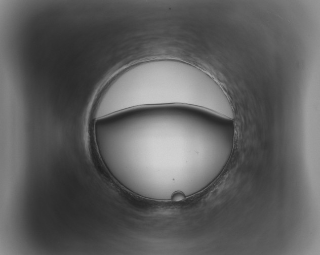 X0000102290248200807251007