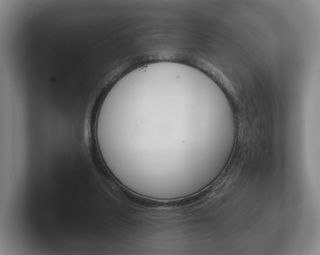 X0000102290251200807251007