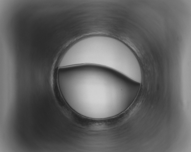 X0000102290252200807251007