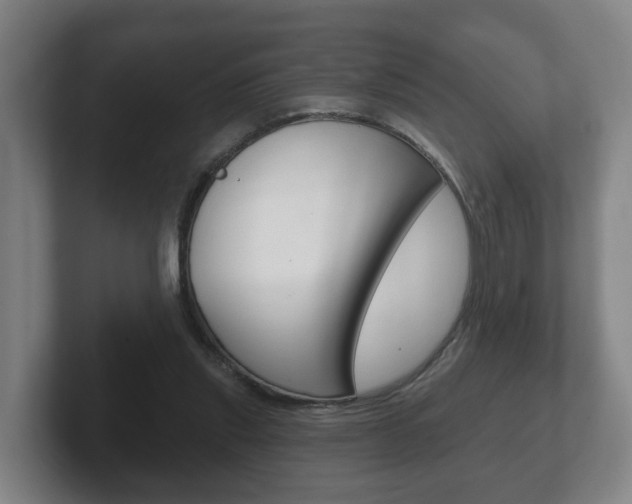 X0000102290253200807251007