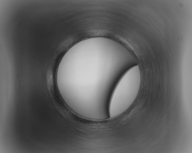 X0000102290254200807251007