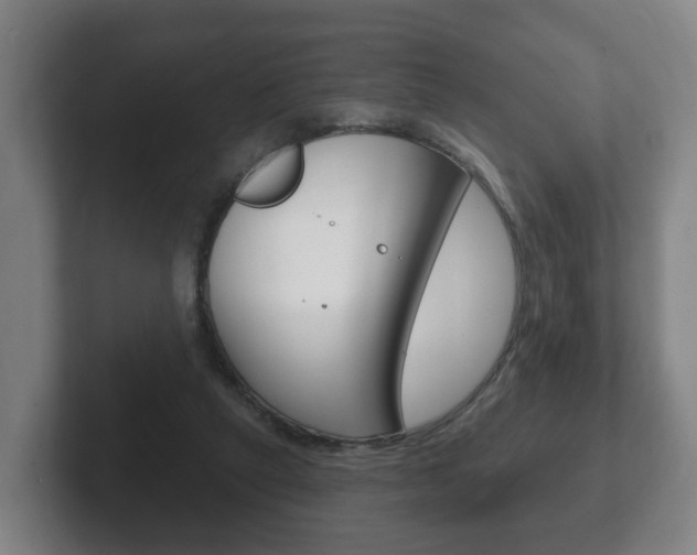 X0000102290257200807251007