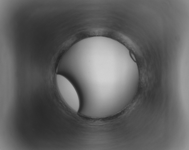 X0000102290258200807251007