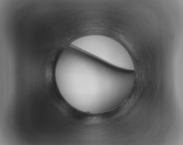 X0000102290259200807251007