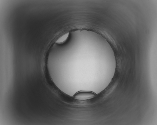 X0000102290260200807251007