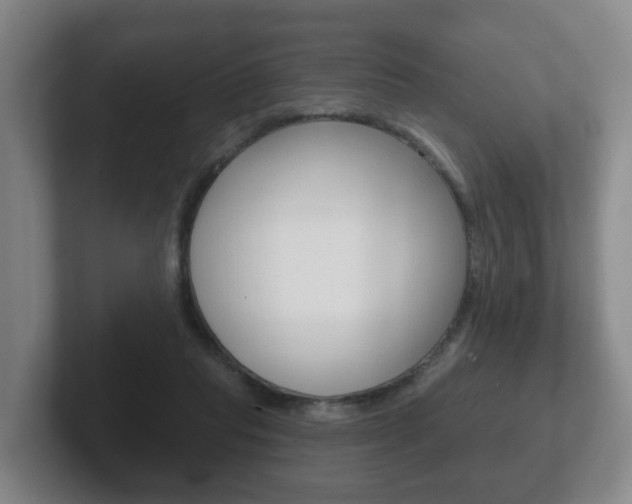 X0000102290261200807251007