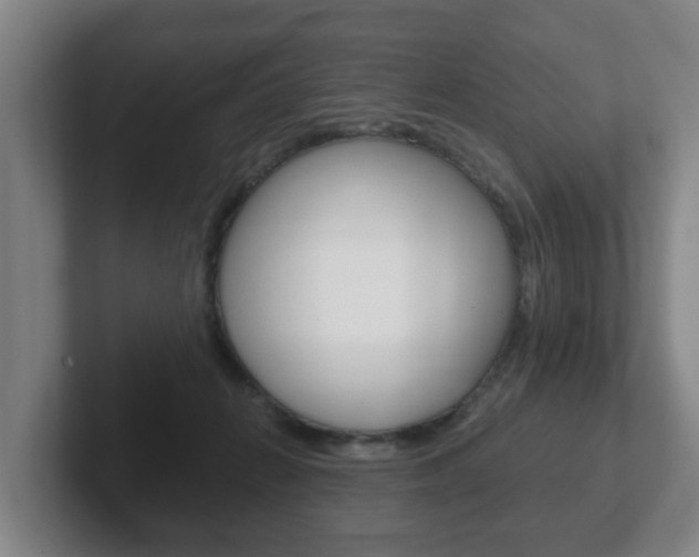 X0000102290270200807251007