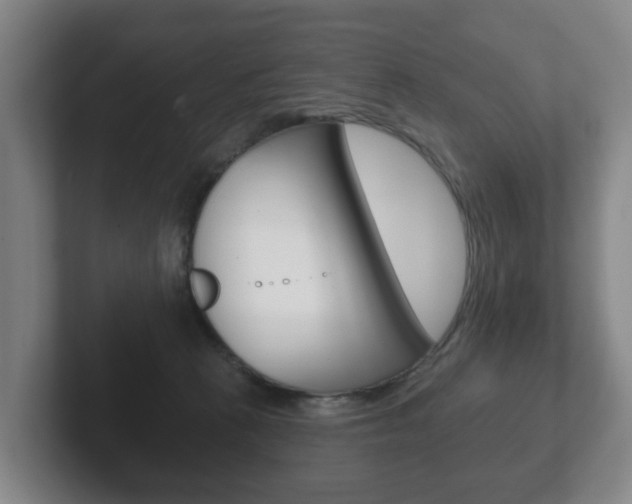 X0000102290273200807251007