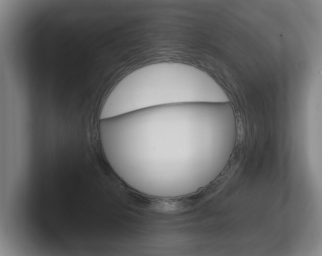 X0000102290276200807251007