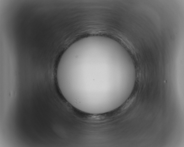 X0000102290277200807251007
