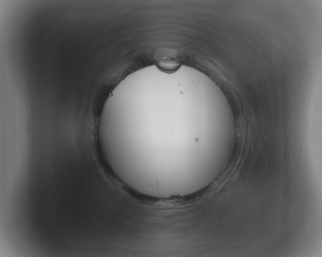 X0000102290280200807251007