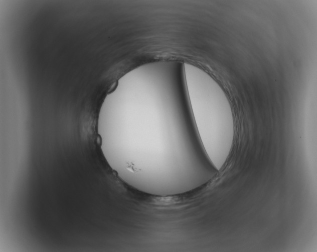 X0000102290281200807251007