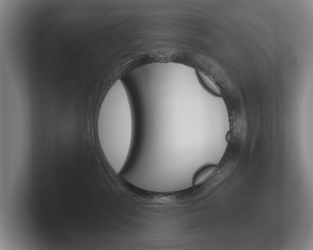 X0000102290283200807251007