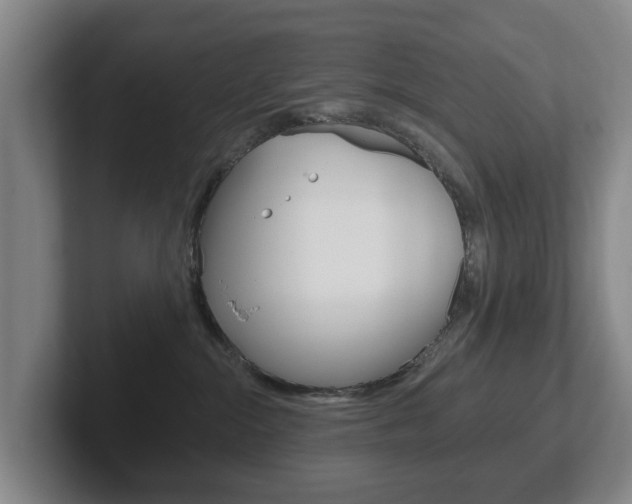 X0000102290284200807251007