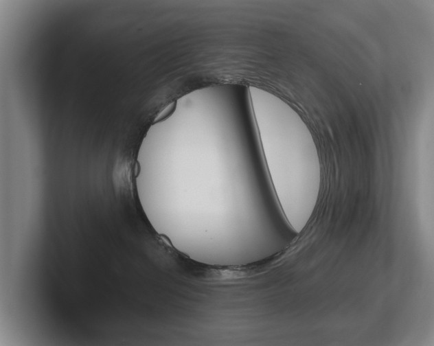 X0000102290286200807251007