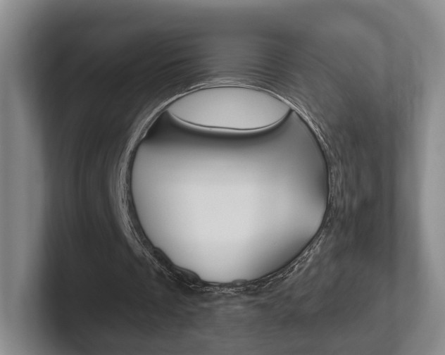X0000102290289200807251007
