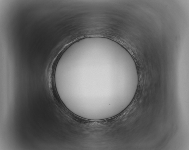 X0000102290290200807251007