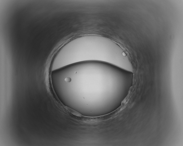 X0000102290293200807251007