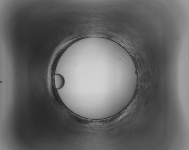 X0000102290294200807251006