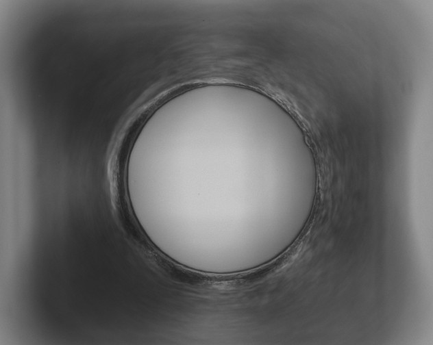 X0000102290295200807251006