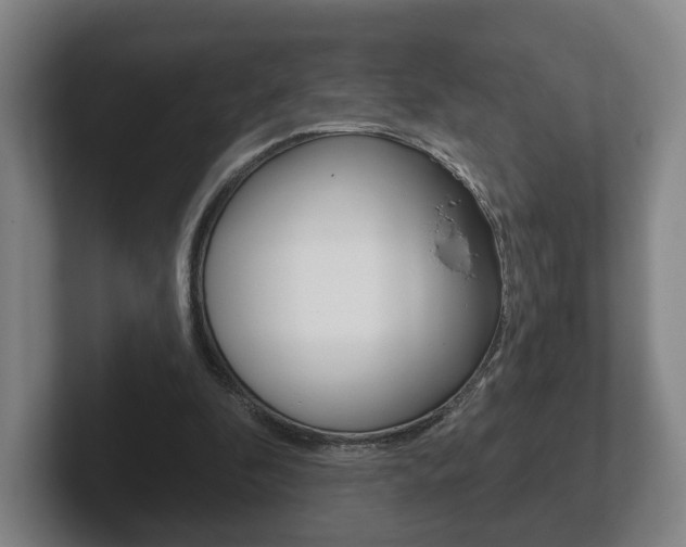 X0000102290296200807251006