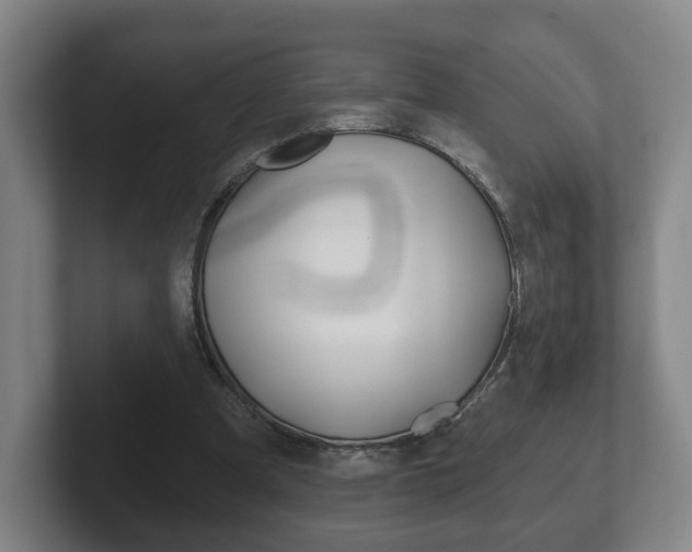 X0000102290297200807251006