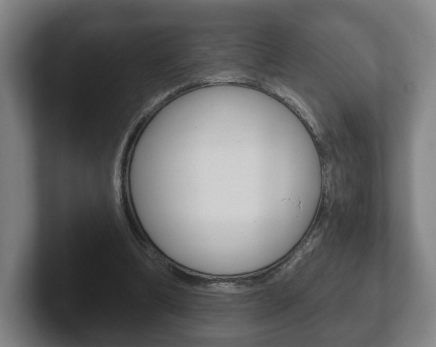 X0000102290298200807251006
