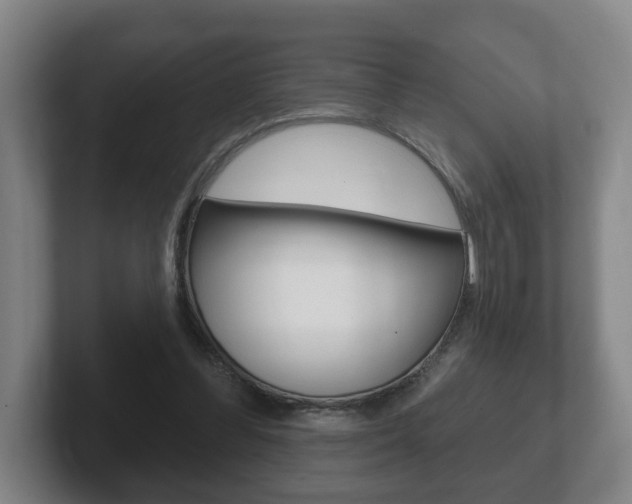 X0000102290300200807251006