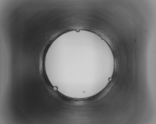 X0000102290301200807251006